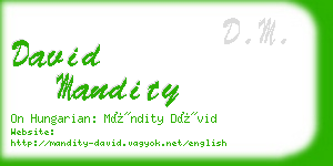 david mandity business card